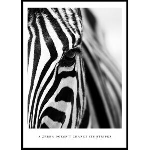 Hector Obraz Stripes 50x70 cm