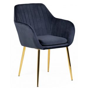 Hector Designová židle Jonson modrá