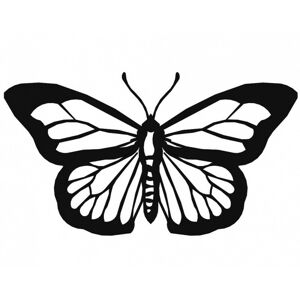 Hector Nástěnná dekorace Motýl černá